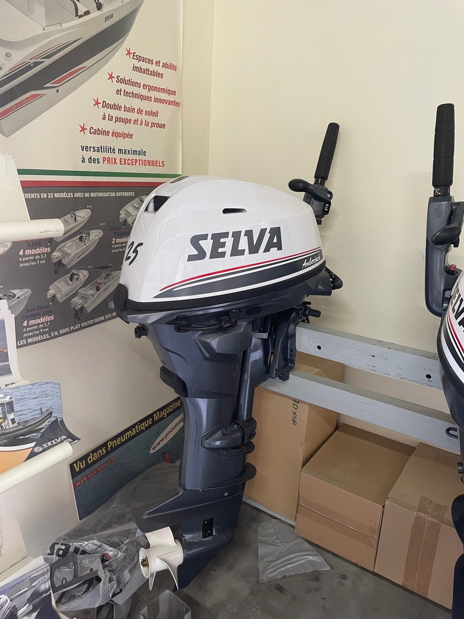 slider 0 Moteur selva 25 cv e.f.i